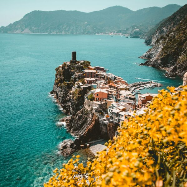 bird eye spain