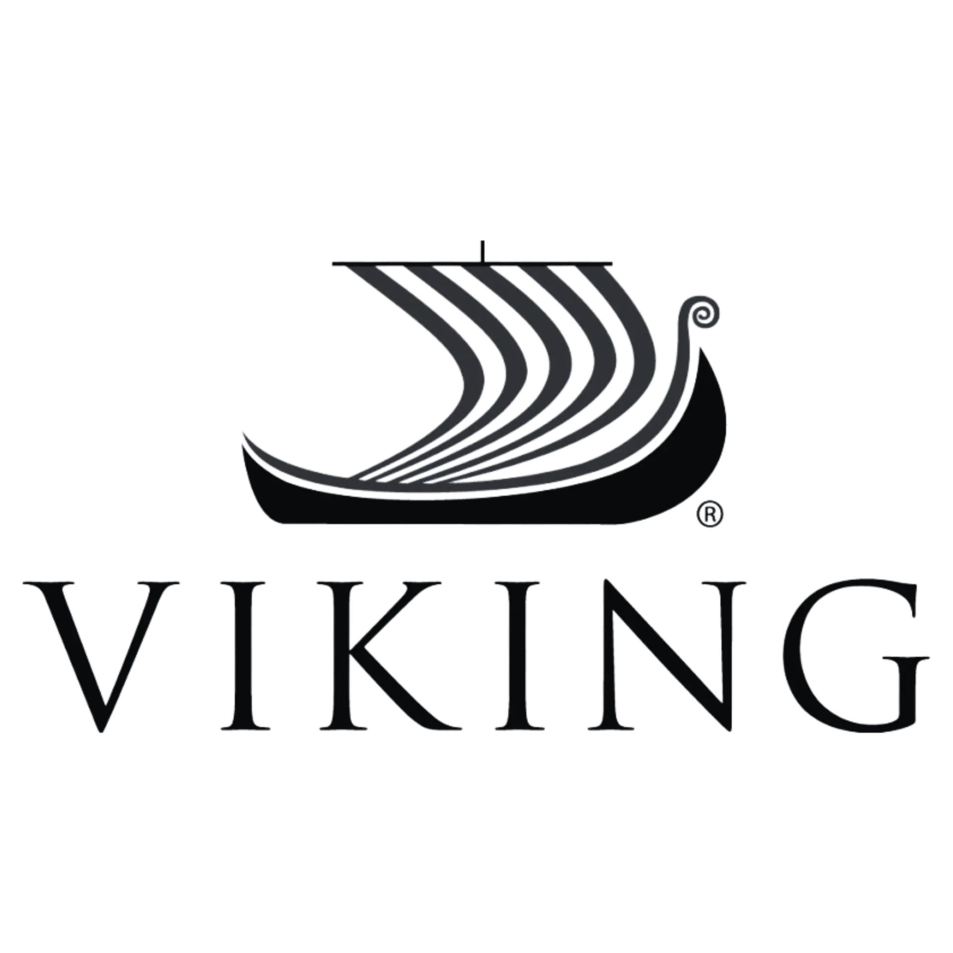 Viking logo image